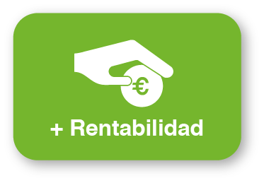 Rentabilidad