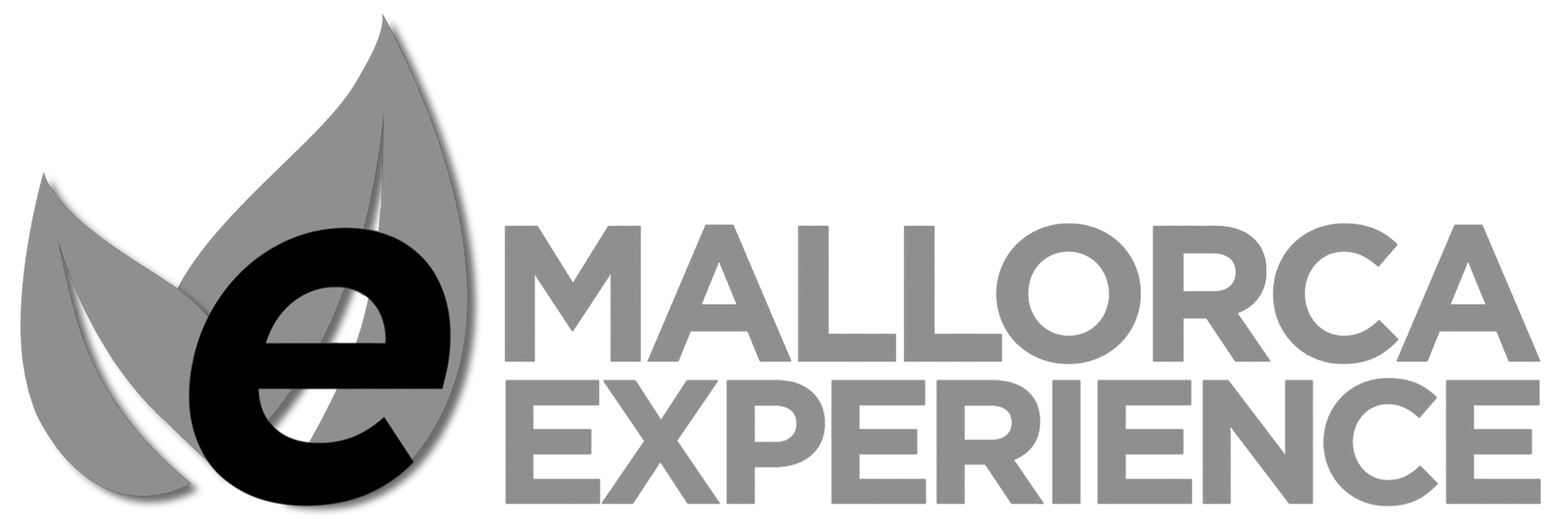 Logo 7